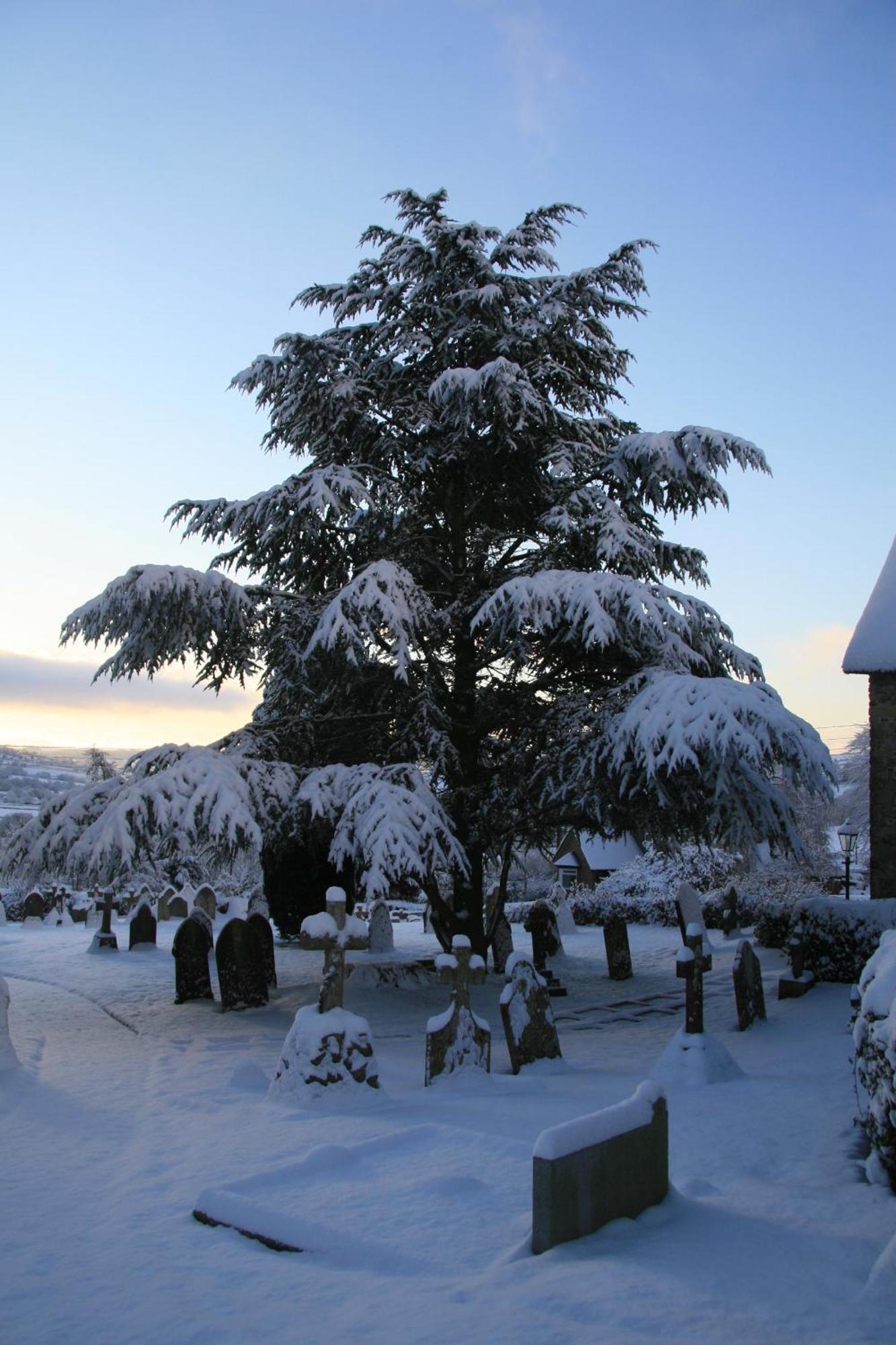 The Belfry At Yarcombe Exterior foto